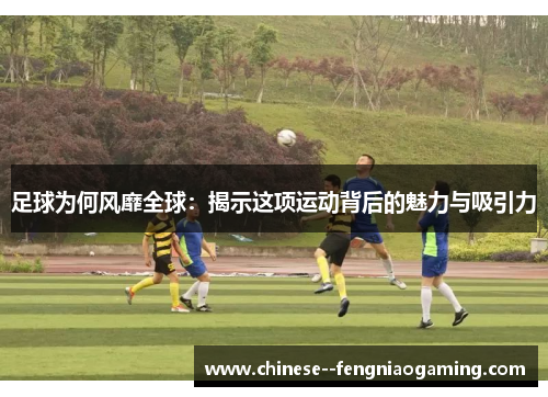 足球为何风靡全球：揭示这项运动背后的魅力与吸引力