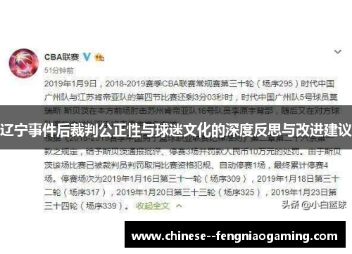 辽宁事件后裁判公正性与球迷文化的深度反思与改进建议 辽宁事件后裁判公正性与球迷文化的深度反思与改进建议