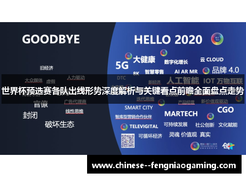 世界杯预选赛各队出线形势深度解析与关键看点前瞻全面盘点走势